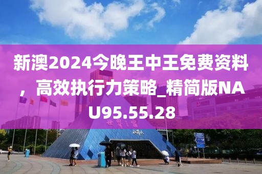 新澳2024今晚王中王免费资料，高效执行力策略_精简版NAU95.55.28