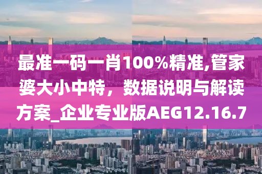最准一码一肖100%精准,管家婆大小中特，数据说明与解读方案_企业专业版AEG12.16.7