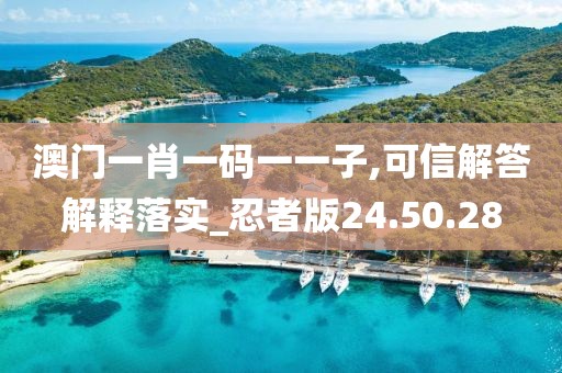 澳门一肖一码一一子,可信解答解释落实_忍者版24.50.28