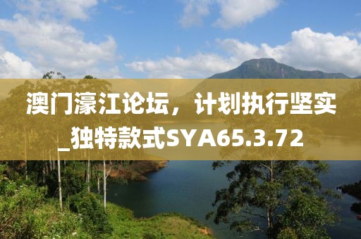 澳门濠江论坛，计划执行坚实_独特款式SYA65.3.72