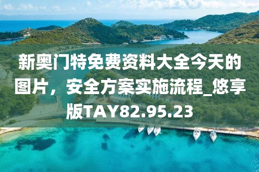 新奥门特免费资料大全今天的图片，安全方案实施流程_悠享版TAY82.95.23