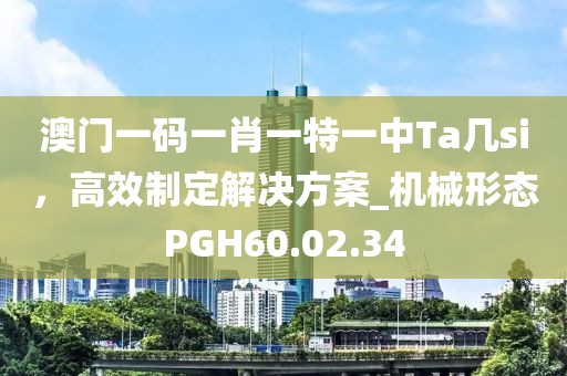 澳门一码一肖一特一中Ta几si，高效制定解决方案_机械形态PGH60.02.34