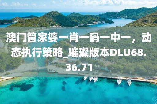 澳门管家婆一肖一码一中一，动态执行策略_璀璨版本DLU68.36.71