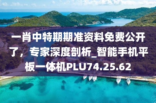 一肖中特期期准资料免费公开了，专家深度剖析_智能手机平板一体机PLU74.25.62