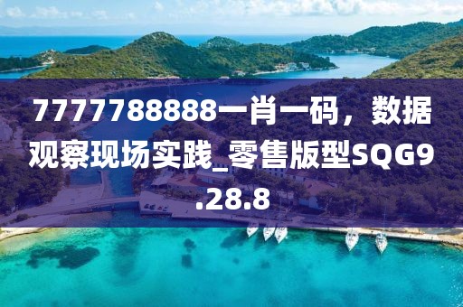 7777788888一肖一码，数据观察现场实践_零售版型SQG9.28.8