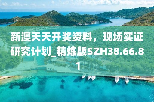 新澳天天开奖资料，现场实证研究计划_精炼版SZH38.66.81