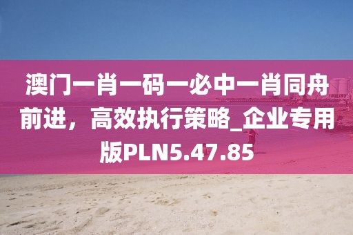 澳门一肖一码一必中一肖同舟前进，高效执行策略_企业专用版PLN5.47.85