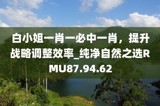 白小姐一肖一必中一肖，提升战略调整效率_纯净自然之选RMU87.94.62