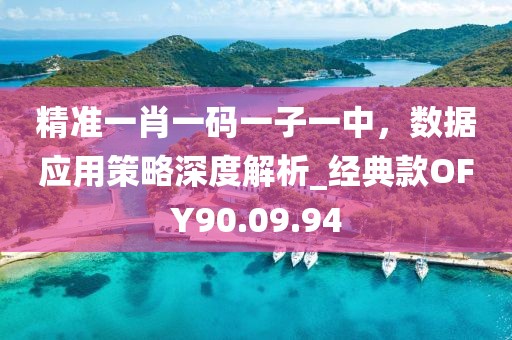 精准一肖一码一子一中，数据应用策略深度解析_经典款OFY90.09.94