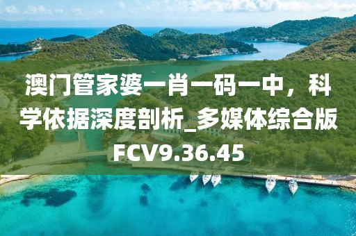 澳门管家婆一肖一码一中，科学依据深度剖析_多媒体综合版FCV9.36.45