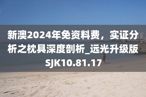 新澳2024年免资料费，实证分析之枕具深度剖析_远光升级版SJK10.81.17