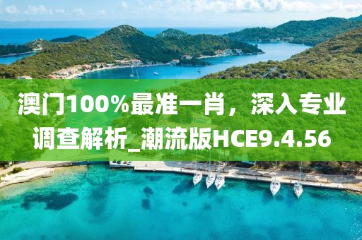澳门100%最准一肖，深入专业调查解析_潮流版HCE9.4.56