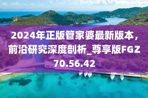 2024年正版管家婆最新版本，前沿研究深度剖析_尊享版FGZ70.56.42