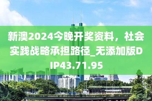 新澳2024今晚开奖资料，社会实践战略承担路径_无添加版DIP43.71.95