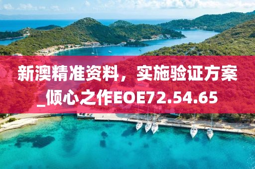新澳精准资料，实施验证方案_倾心之作EOE72.54.65