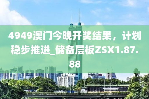 4949澳门今晚开奖结果，计划稳步推进_储备层板ZSX1.87.88