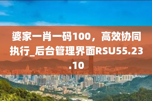 婆家一肖一码100，高效协同执行_后台管理界面RSU55.23.10
