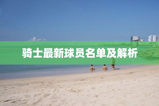 骑士最新球员名单及解析