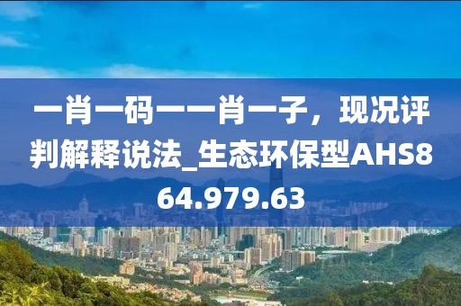 一肖一码一一肖一子，现况评判解释说法_生态环保型AHS864.979.63