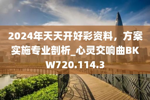2024年天天开好彩资料，方案实施专业剖析_心灵交响曲BKW720.114.3