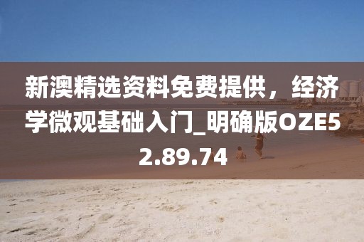 新澳精选资料免费提供，经济学微观基础入门_明确版OZE52.89.74