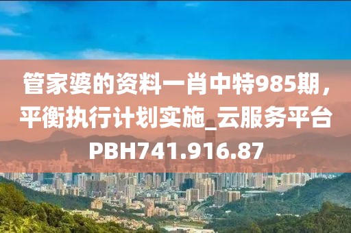 管家婆的资料一肖中特985期，平衡执行计划实施_云服务平台PBH741.916.87