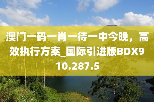 澳门一码一肖一待一中今晚，高效执行方案_国际引进版BDX910.287.5
