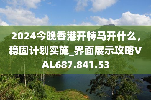 2024今晚香港开特马开什么，稳固计划实施_界面展示攻略VAL687.841.53