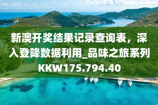 新澳开奖结果记录查询表，深入登降数据利用_品味之旅系列KKW175.794.40
