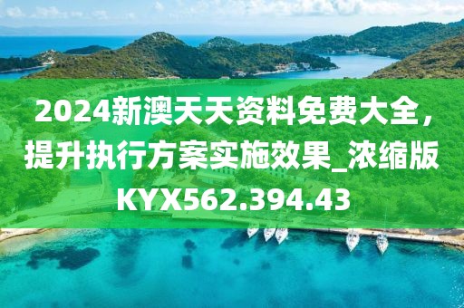 2024新澳天天资料免费大全，提升执行方案实施效果_浓缩版KYX562.394.43