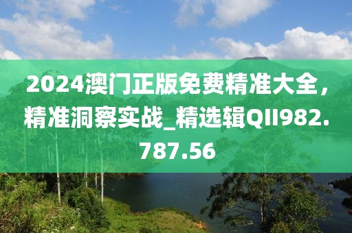 2024澳门正版免费精准大全，精准洞察实战_精选辑QII982.787.56