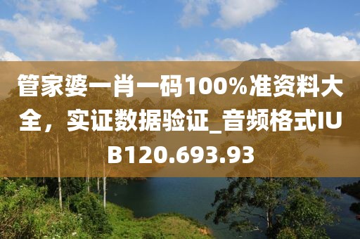 管家婆一肖一码100%准资料大全，实证数据验证_音频格式IUB120.693.93
