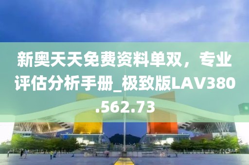 新奥天天免费资料单双，专业评估分析手册_极致版LAV380.562.73