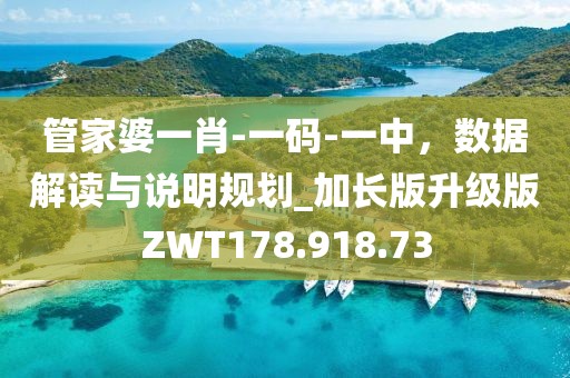管家婆一肖-一码-一中，数据解读与说明规划_加长版升级版ZWT178.918.73