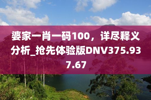 婆家一肖一码100，详尽释义分析_抢先体验版DNV375.937.67