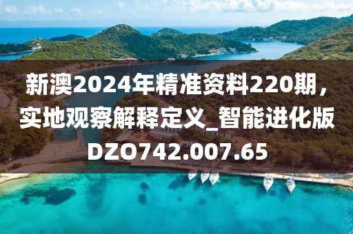 新澳2024年精准资料220期，实地观察解释定义_智能进化版DZO742.007.65