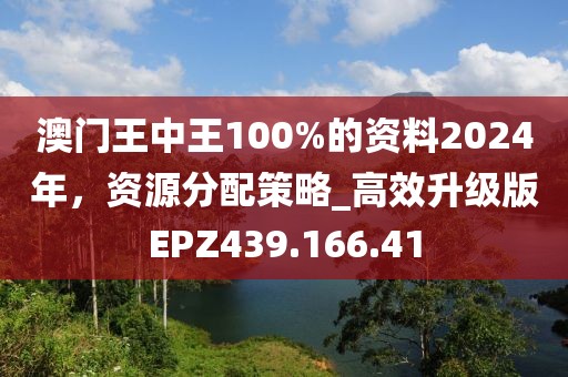 澳门王中王100%的资料2024年，资源分配策略_高效升级版EPZ439.166.41
