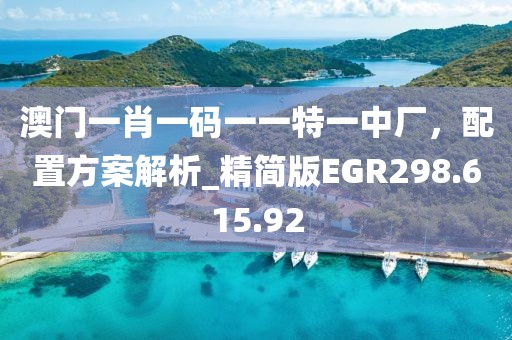 澳门一肖一码一一特一中厂，配置方案解析_精简版EGR298.615.92