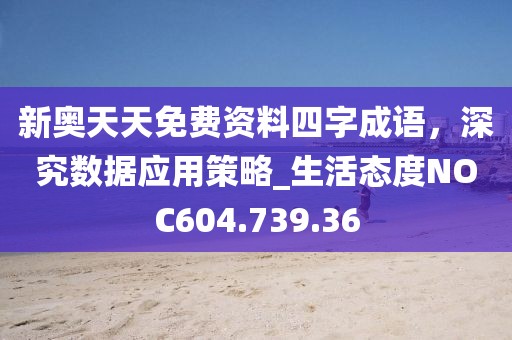 2024年11月 第43页