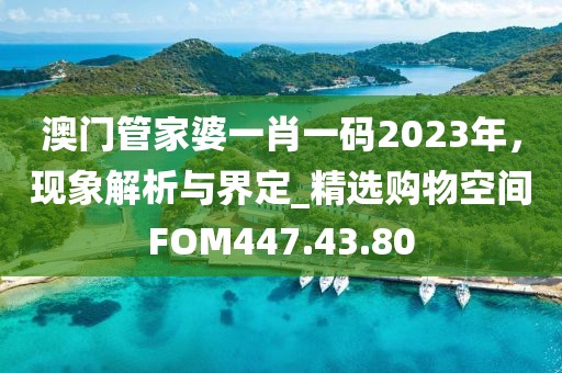 澳门管家婆一肖一码2023年，现象解析与界定_精选购物空间FOM447.43.80