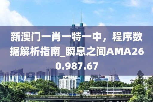 新澳门一肖一特一中，程序数据解析指南_瞬息之间AMA260.987.67