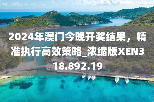 2024年澳门今晚开奖结果，精准执行高效策略_浓缩版XEN318.892.19