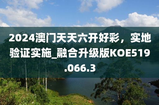 2024澳门天天六开好彩，实地验证实施_融合升级版KOE519.066.3