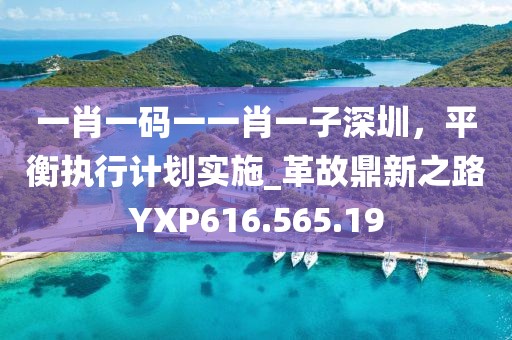 一肖一码一一肖一子深圳，平衡执行计划实施_革故鼎新之路YXP616.565.19