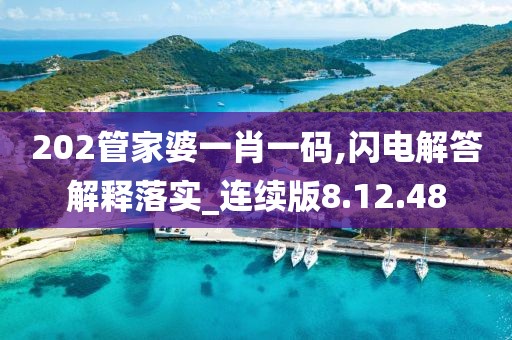 202管家婆一肖一码,闪电解答解释落实_连续版8.12.48