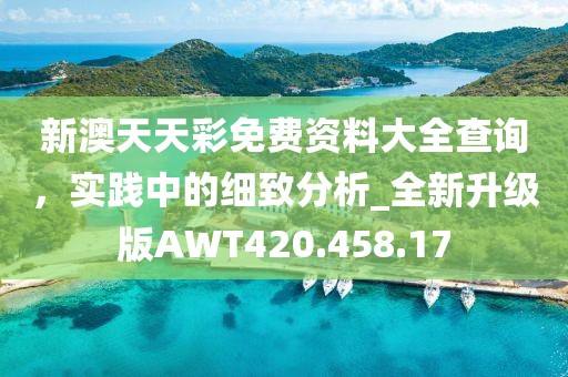新澳天天彩免费资料大全查询，实践中的细致分析_全新升级版AWT420.458.17