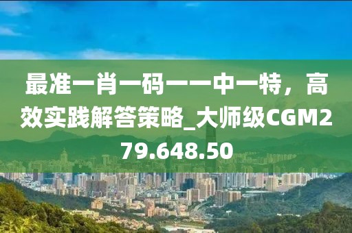 最准一肖一码一一中一特，高效实践解答策略_大师级CGM279.648.50