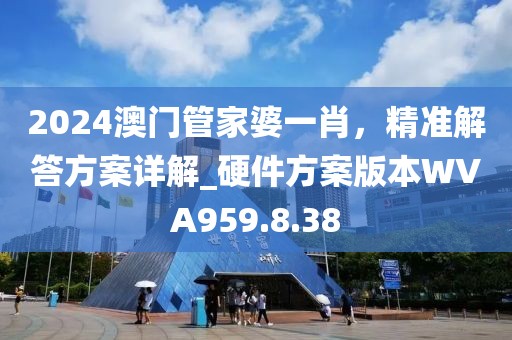 2024澳门管家婆一肖，精准解答方案详解_硬件方案版本WVA959.8.38
