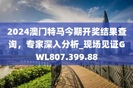 2024澳门特马今期开奖结果查询，专家深入分析_现场见证GWL807.399.88