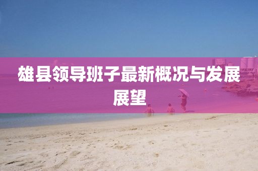 雄县领导班子最新概况与发展展望
